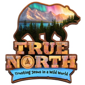 true north VBS